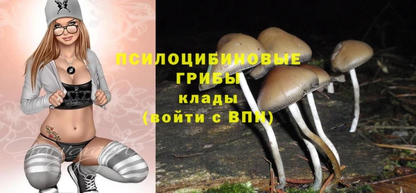 круглые Заводоуковск
