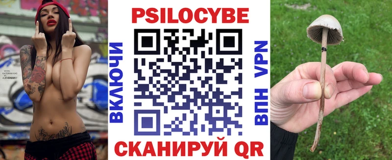 Псилоцибиновые грибы GOLDEN TEACHER  mega ссылки  Игарка 